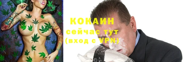 тгк Алзамай