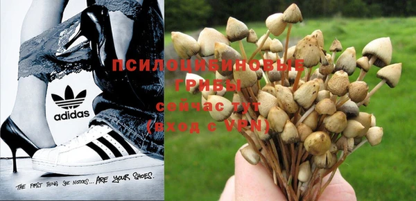 тгк Алзамай