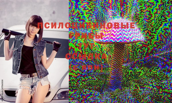 прущая мука Алексин